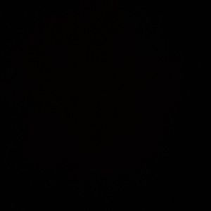 Meet your Posher, Britney